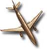 Fly
